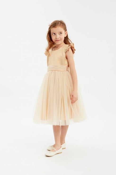 progines sukneles mergaitems, puosnios sukneles mergaitems, sukneles mergaitems, mergaičių suknelės, princesiu sukneles mergaitems, komunijos suknelės, pirmos komunijos sukneles,