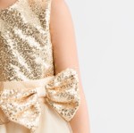 progines sukneles mergaitems, puosnios sukneles mergaitems, sukneles mergaitems, mergaičių suknelės, princesiu sukneles mergaitems, komunijos suknelės, pirmos komunijos sukneles,